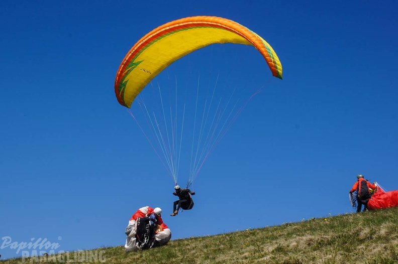 FE21.17 Vogesen-Paragliding-455