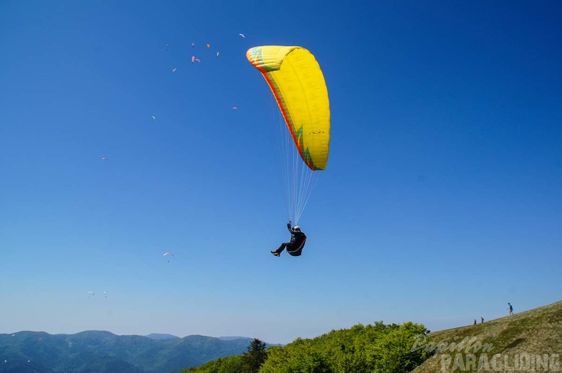 FE21.17 Vogesen-Paragliding-456