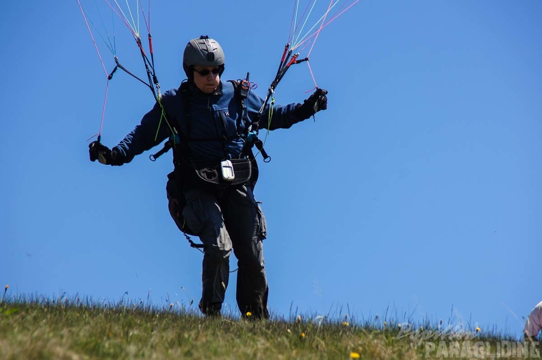 FE21.17 Vogesen-Paragliding-458