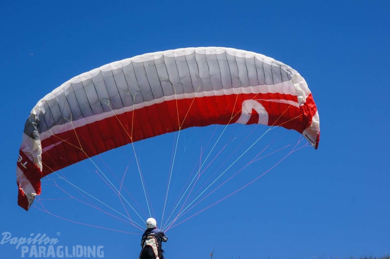 FE21.17 Vogesen-Paragliding-462