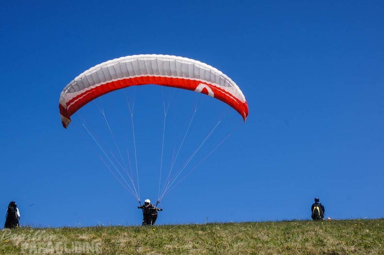 FE21.17_Vogesen-Paragliding-463.jpg