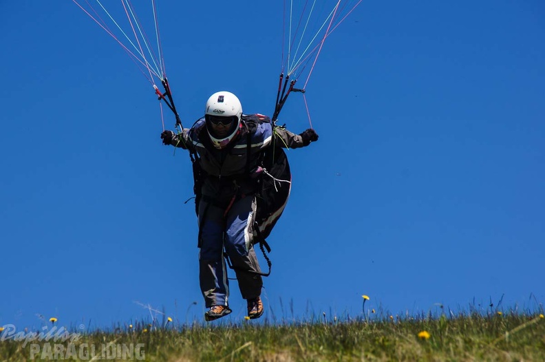 FE21.17 Vogesen-Paragliding-464