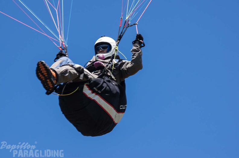 FE21.17 Vogesen-Paragliding-466