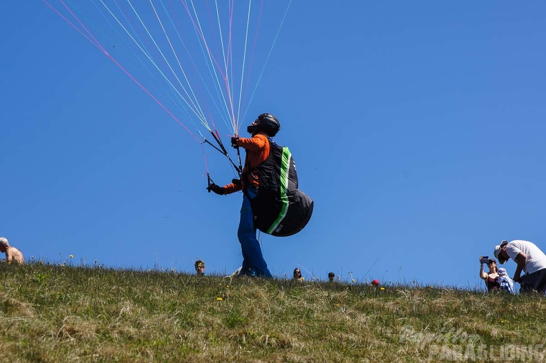 FE21.17 Vogesen-Paragliding-475