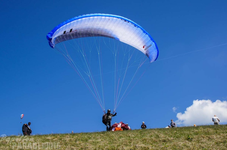 FE21.17 Vogesen-Paragliding-480