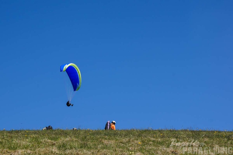 FE21.17 Vogesen-Paragliding-490