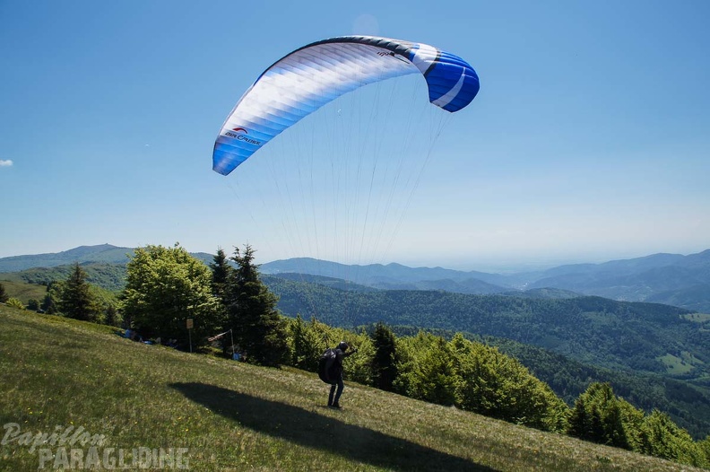 FE21.17 Vogesen-Paragliding-495