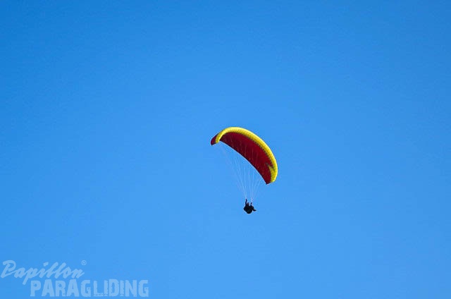 FUV24_15_M_Paragliding-285.jpg