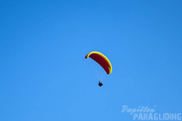 FUV24_15_M_Paragliding-285.jpg