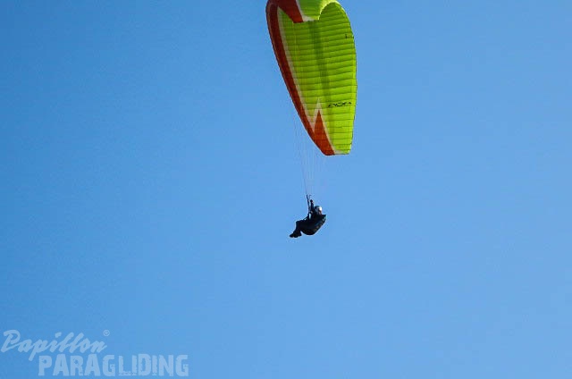 FUV24_15_M_Paragliding-292.jpg