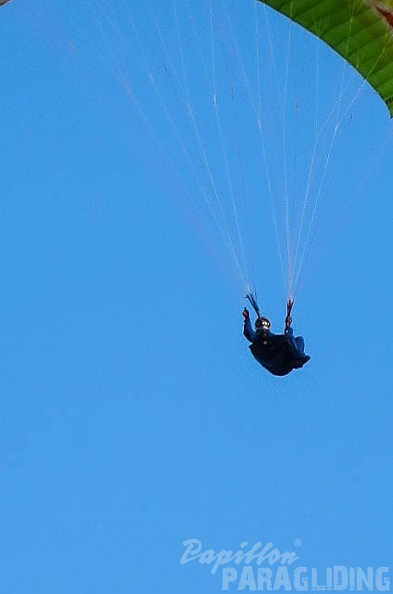 FUV24 15 M Paragliding-299