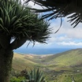 Lanzarote Paragliding FLA8.16-506