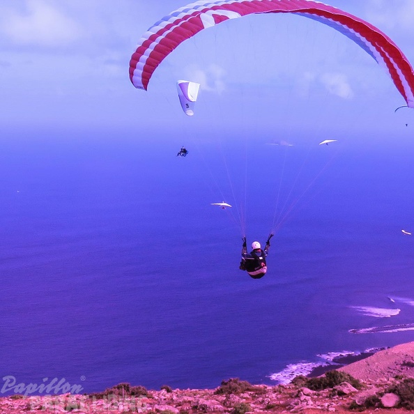 lanzarote-paragliding-126