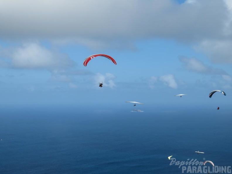 lanzarote-paragliding-133