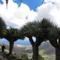 lanzarote-paragliding-380