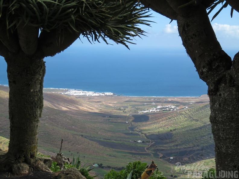 lanzarote-paragliding-381