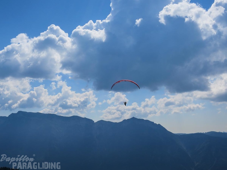 FL36.16-Paragliding-1141.jpg