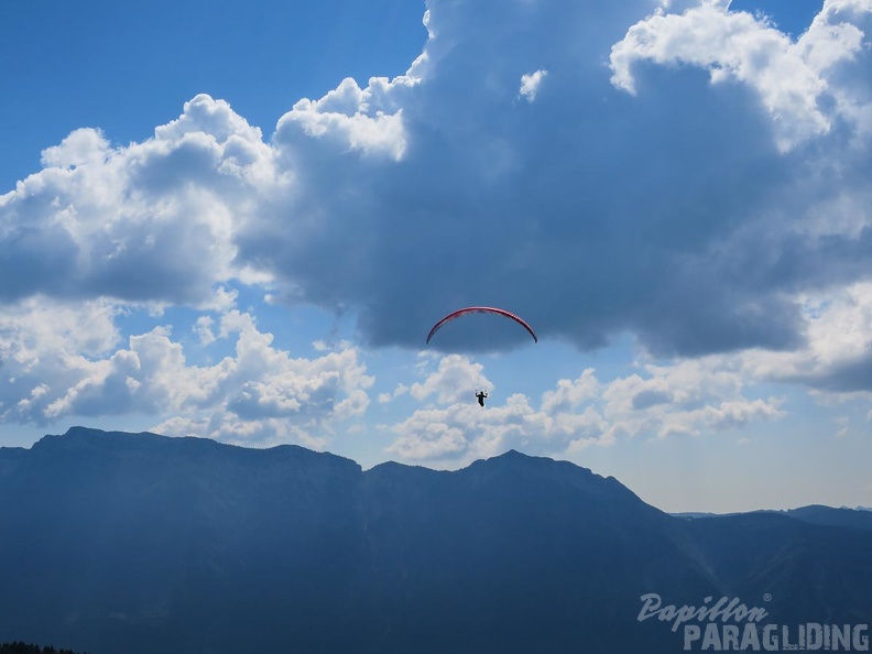 FL36.16-Paragliding-1141.jpg