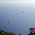 2008 Monaco AF Gleitschirm 304