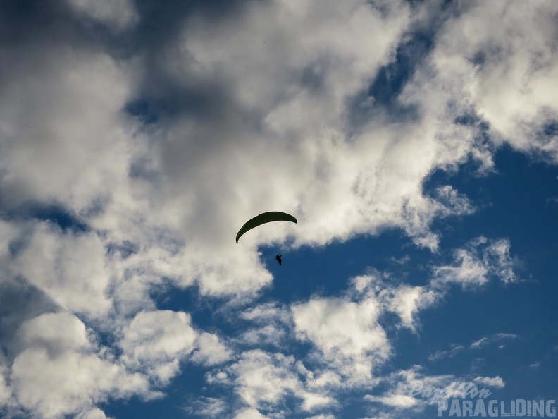 FM53.15 Paragliding-Monaco 04-209