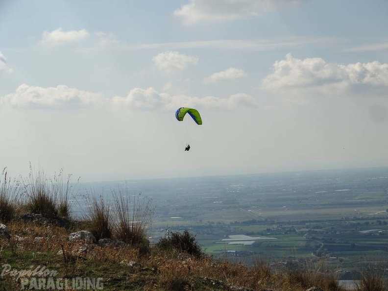 Paragliding-Norma FNO38.16-125