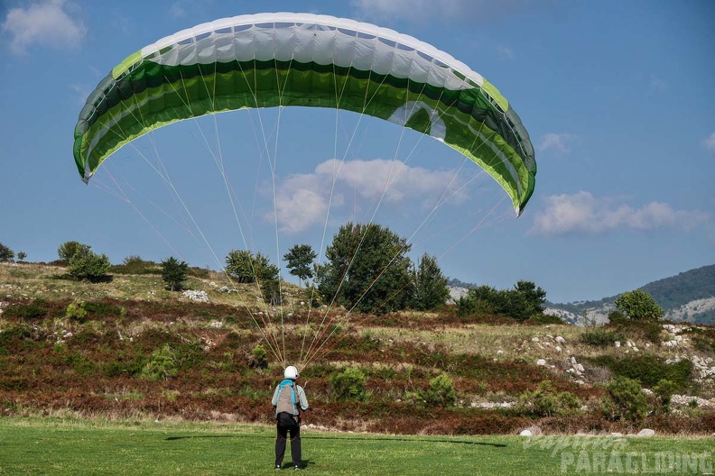 Paragliding-Norma FNO38.16-149