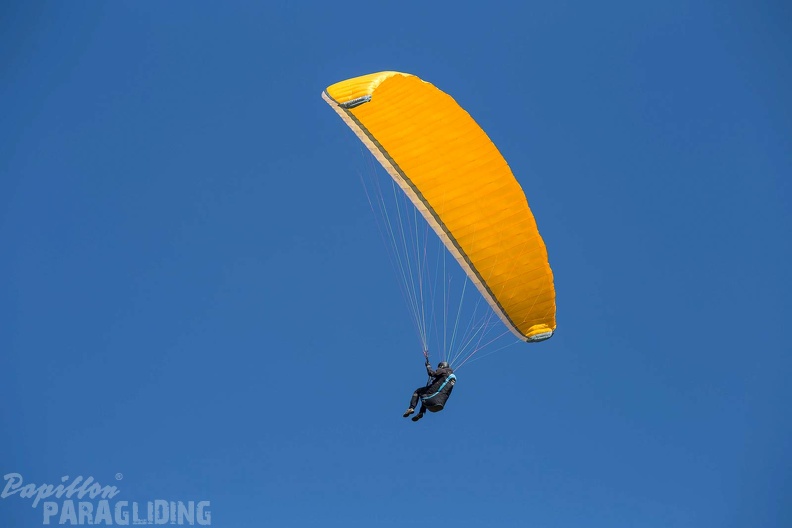 fgp9.20 papillon griechenland-paragliding-122
