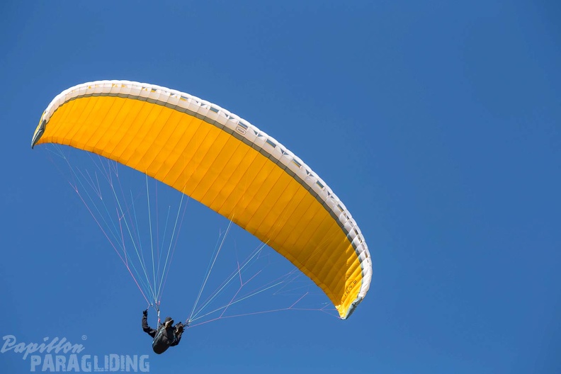 fgp9.20_papillon_griechenland-paragliding-123.jpg