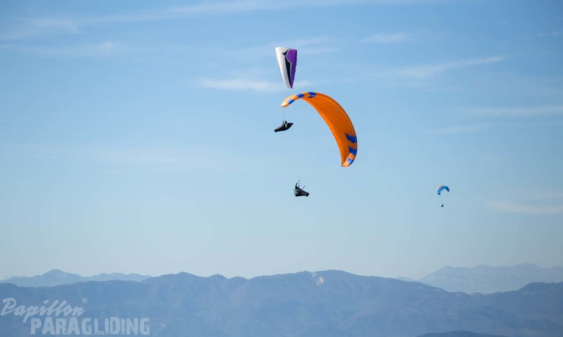 fgp9.20_papillon_griechenland-paragliding-214.jpg