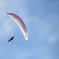 fgp9.20 papillon griechenland-paragliding-277