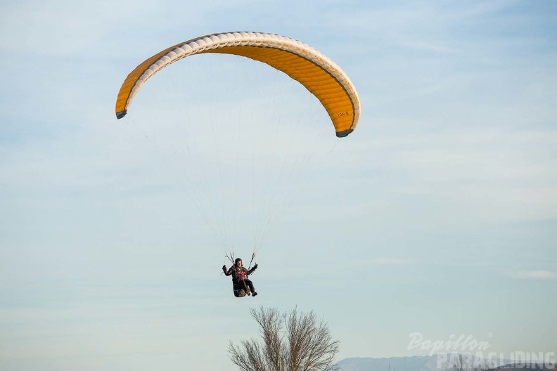 fgp9.20 papillon griechenland-paragliding-335