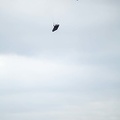 fgp9.20 papillon griechenland-paragliding-347