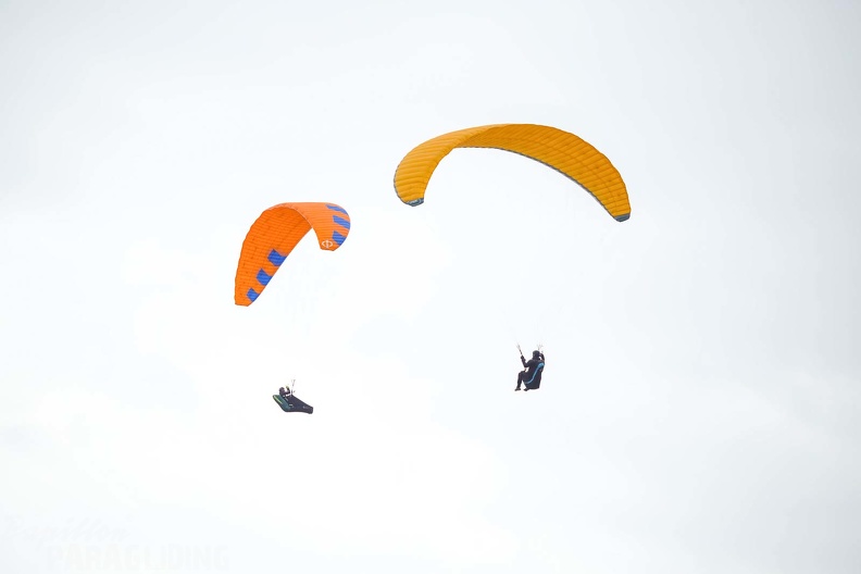 fgp9.20 papillon griechenland-paragliding-354