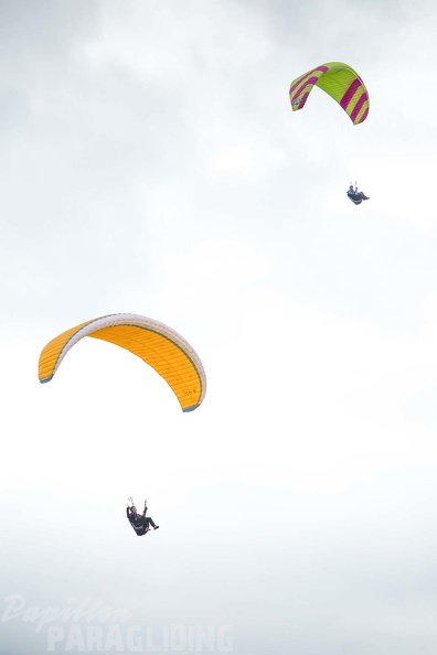 fgp9.20 papillon griechenland-paragliding-357