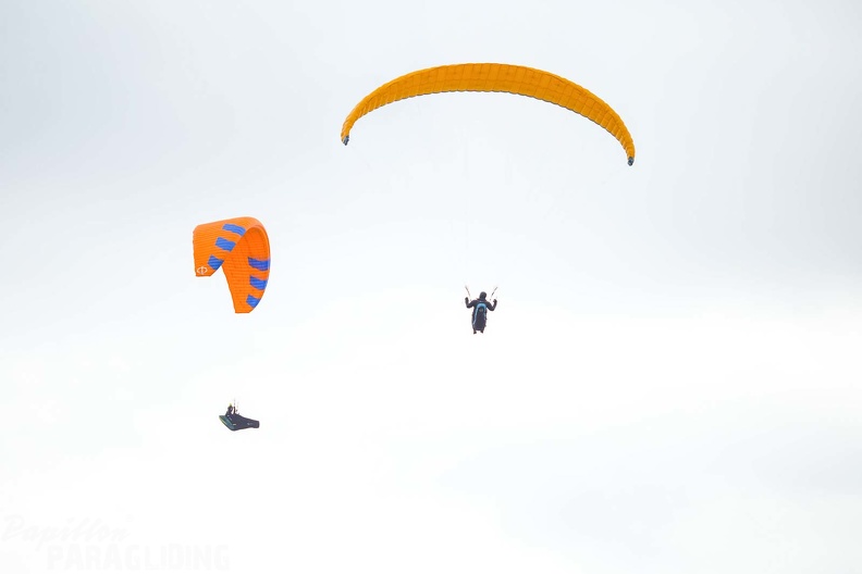 fgp9.20 papillon griechenland-paragliding-375