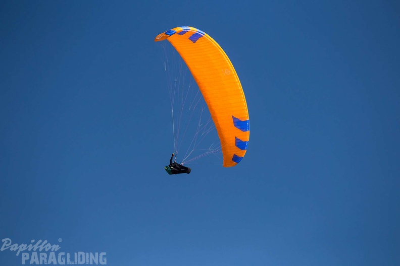 fgp9.20 papillon griechenland-paragliding-427