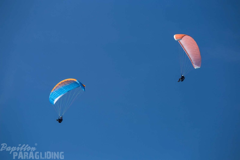fgp9.20 papillon griechenland-paragliding-489