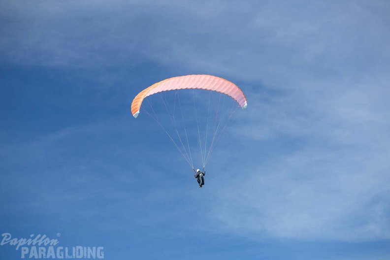 fgp9.20_papillon_griechenland-paragliding-490.jpg