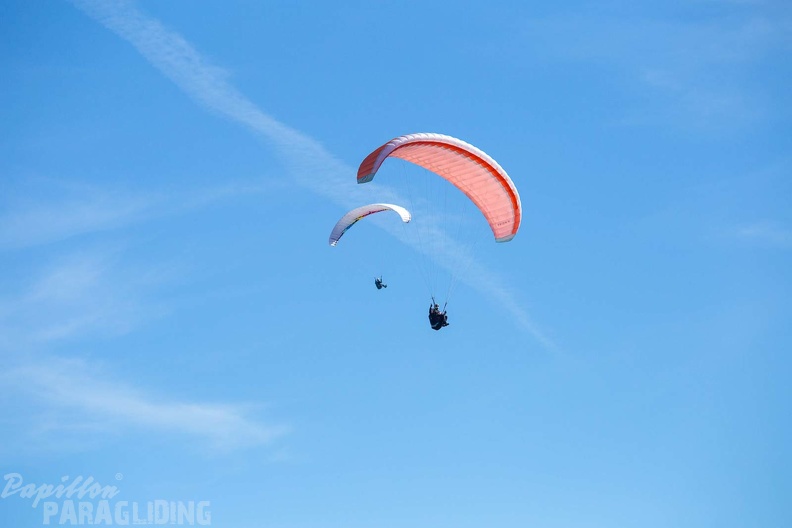 fgp9.20 papillon griechenland-paragliding-513