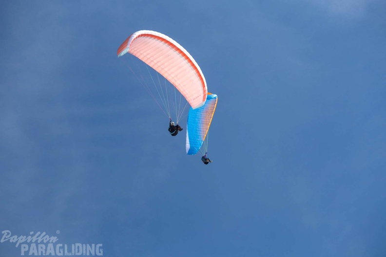 fgp9.20 papillon griechenland-paragliding-533