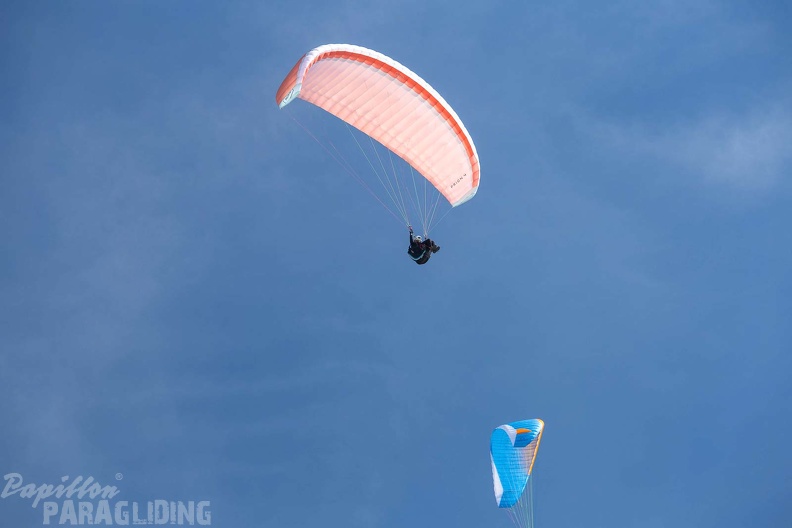 fgp9.20 papillon griechenland-paragliding-534