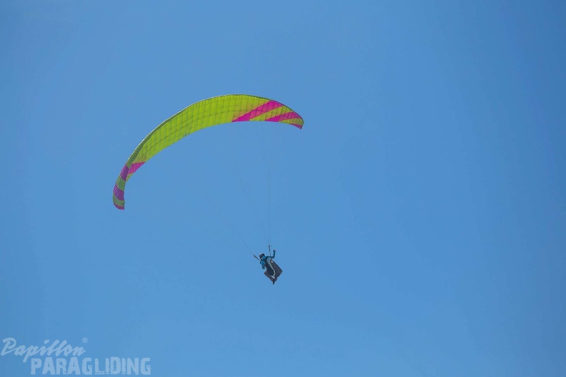 fgp9.20 papillon griechenland-paragliding-548