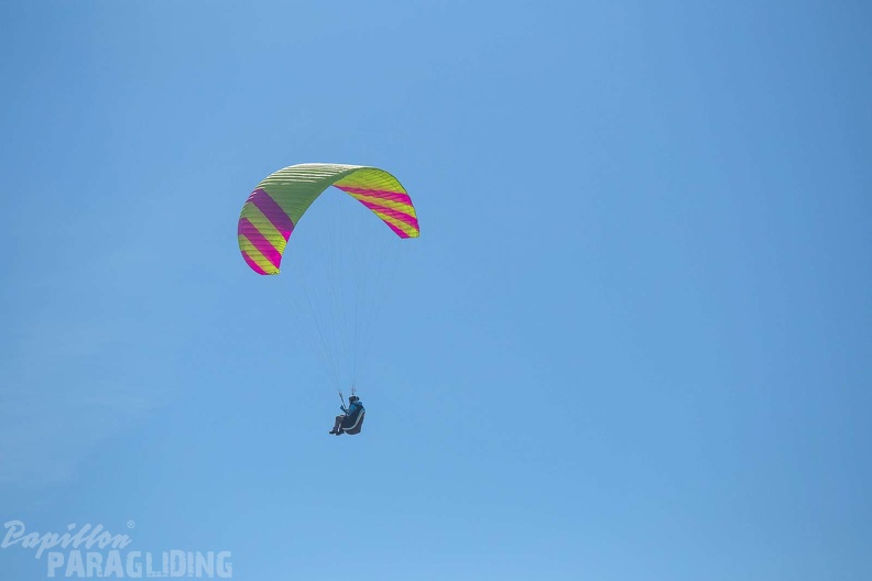 fgp9.20 papillon griechenland-paragliding-549