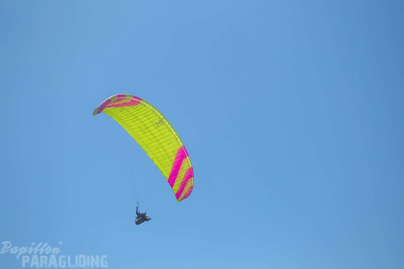 fgp9.20 papillon griechenland-paragliding-550