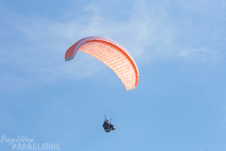 fgp9.20_papillon_griechenland-paragliding-559.jpg
