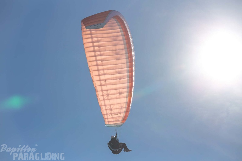 fgp9.20_papillon_griechenland-paragliding-560.jpg