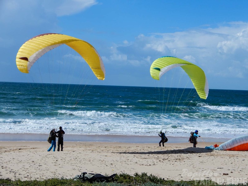 FPG 2017-Portugal-Paragliding-Papillon-133