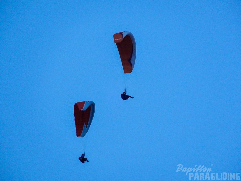 FPG 2017-Portugal-Paragliding-Papillon-168