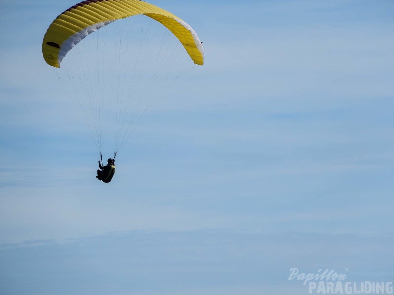 FPG_2017-Portugal-Paragliding-Papillon-184.jpg