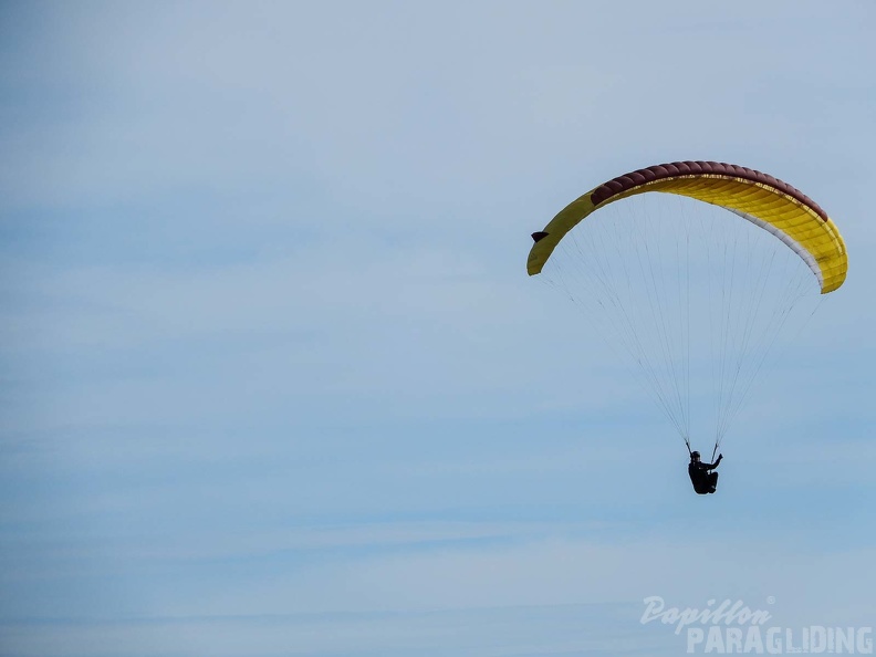 FPG_2017-Portugal-Paragliding-Papillon-185.jpg